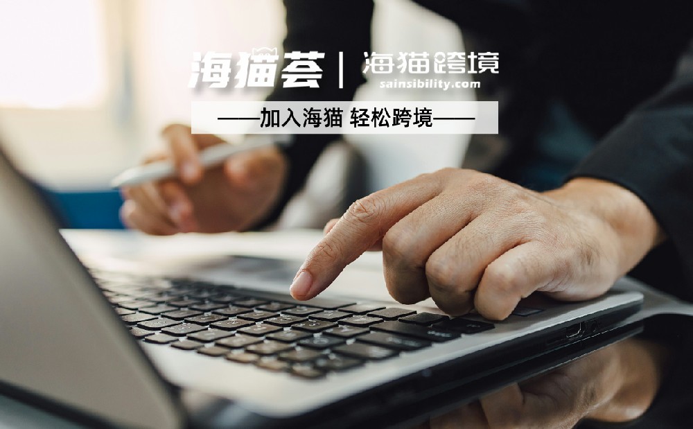 亚马逊VC+SC双账号策略：品牌商决胜未来的黄金组合