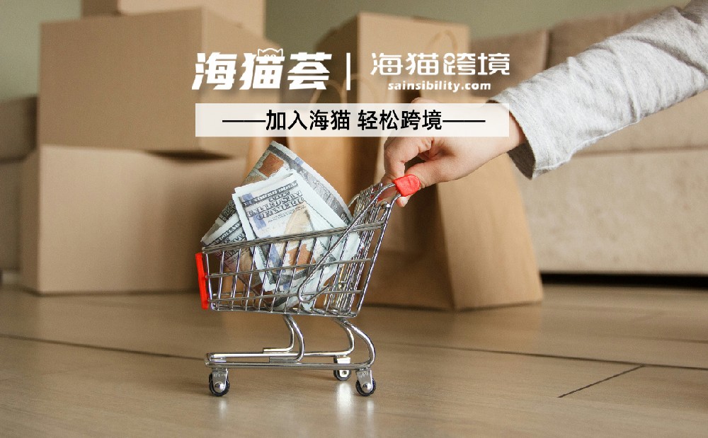 亚马逊共享VC服务是什么意思？全面解析其优势与运作方式