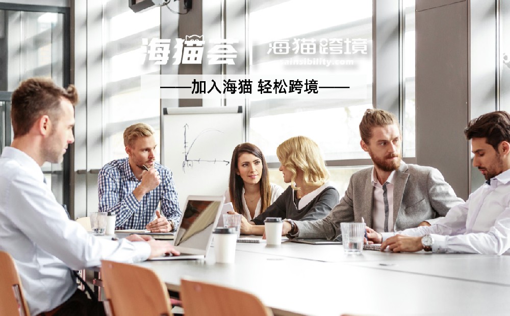 相比亚马逊SC，亚马逊VC的优势和劣势是什么？