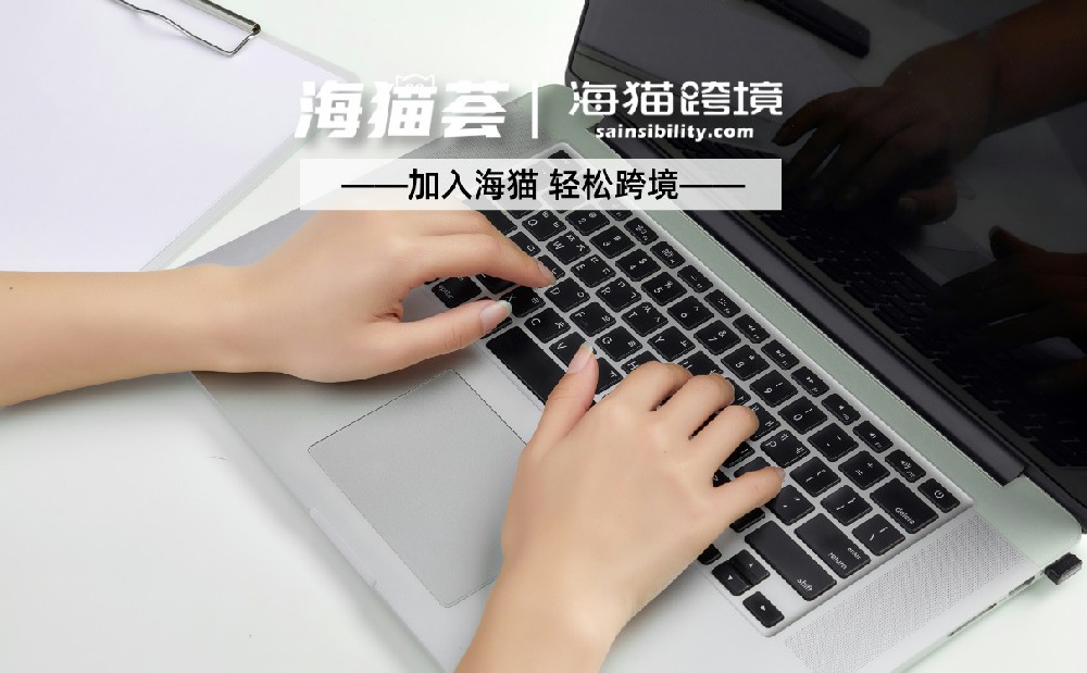 相比亚马逊SC，亚马逊VC的优势和劣势是什么？