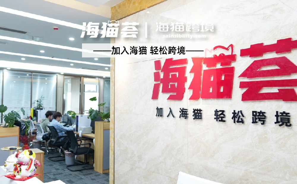 东莞亚马逊代运营公司寻找指南：从资质到服务的全流程解析