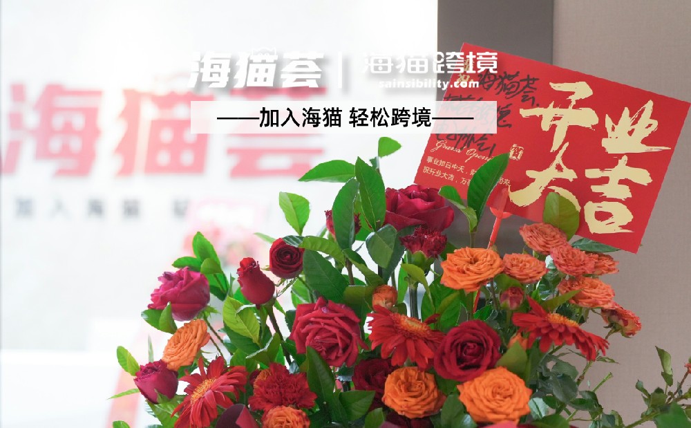 东莞亚马逊代运营公司服务内容全解析：从零到一的全链条赋能