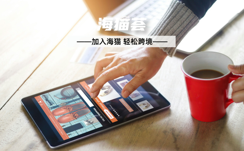正规的亚马逊电商代运营服务是怎么样的？